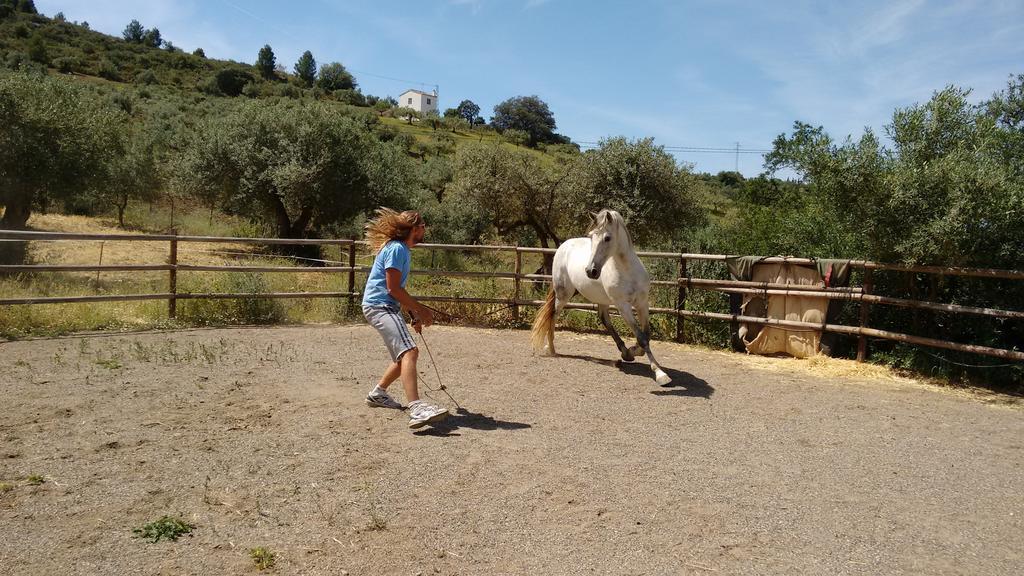 Finca La Piedra Holidays Álora Kültér fotó