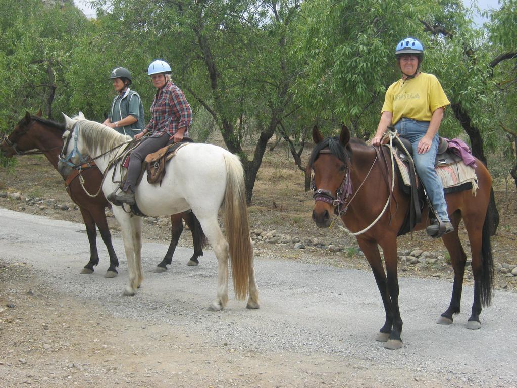 Finca La Piedra Holidays Álora Kültér fotó